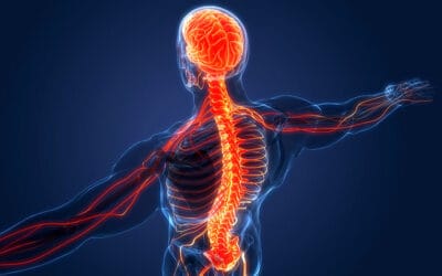 How the Nervous System Might Be Involved in POIS